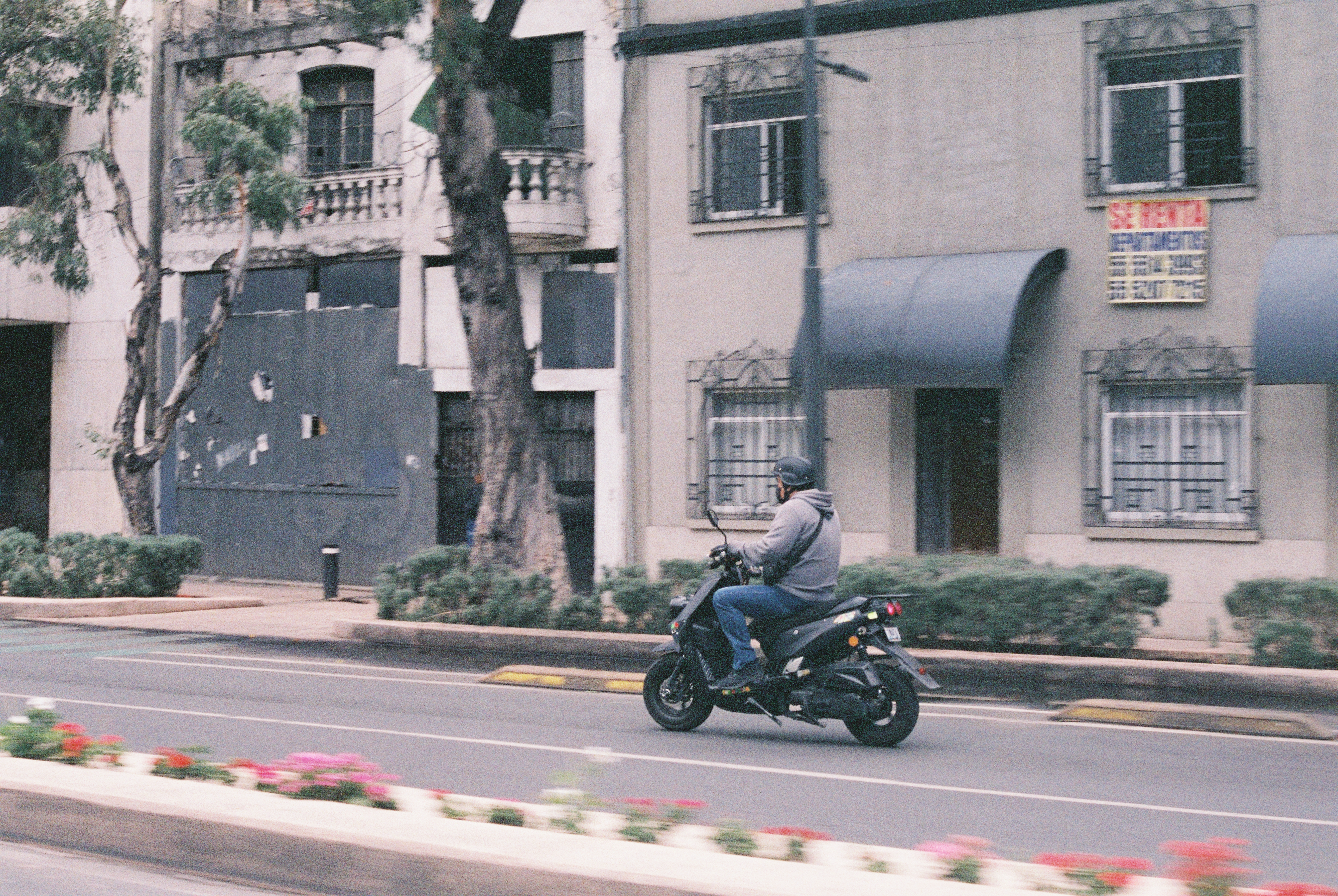 image by Shuailin Chen